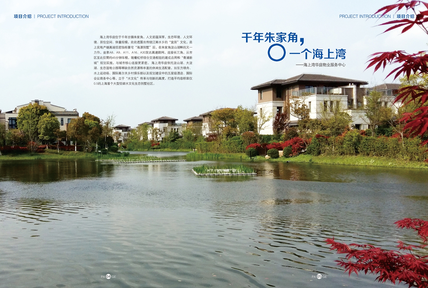 2015年6月