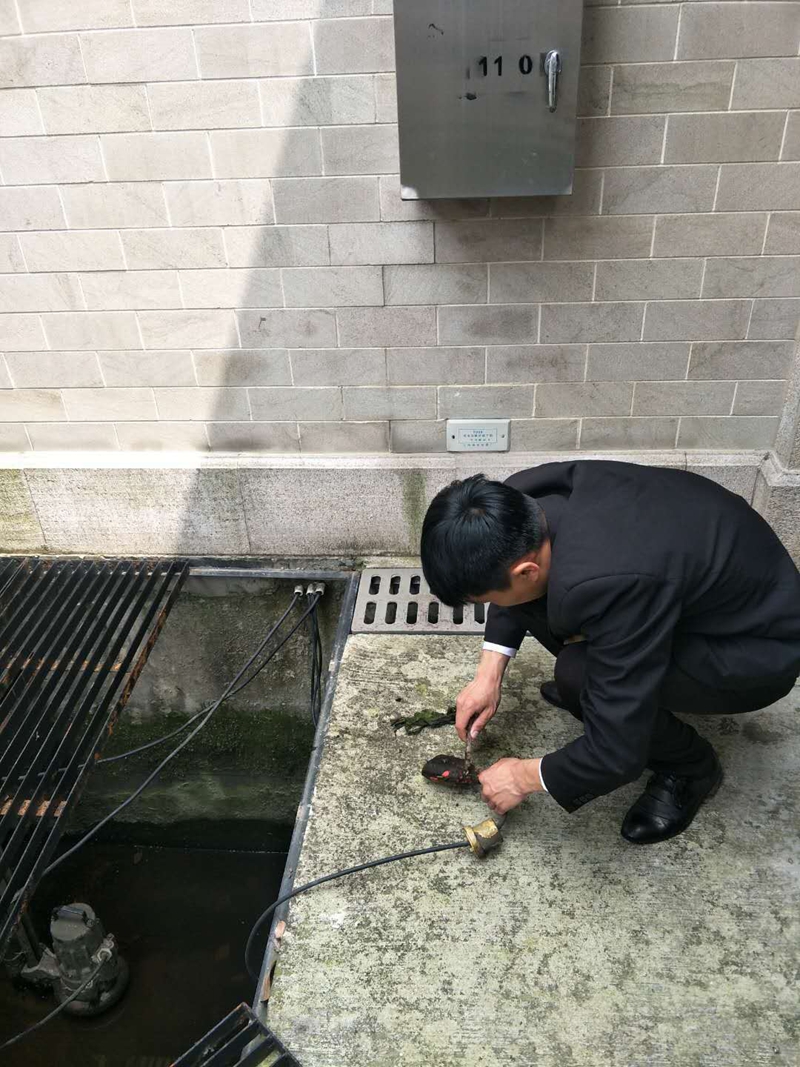 【一线传真】匠心升级,倾心再造:狮城怡安“安澜西郊”别墅物业服务中心——“我的真朋友” 【一线传真】匠心升级,倾心再造:狮城怡安“安澜西郊”别墅物业服务中心——“我的真朋友”