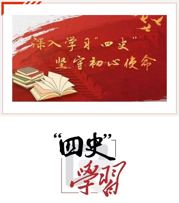狮城怡安党支部举办“四史”学习教育主题党课 狮城怡安党支部举办“四史”学习教育主题党课