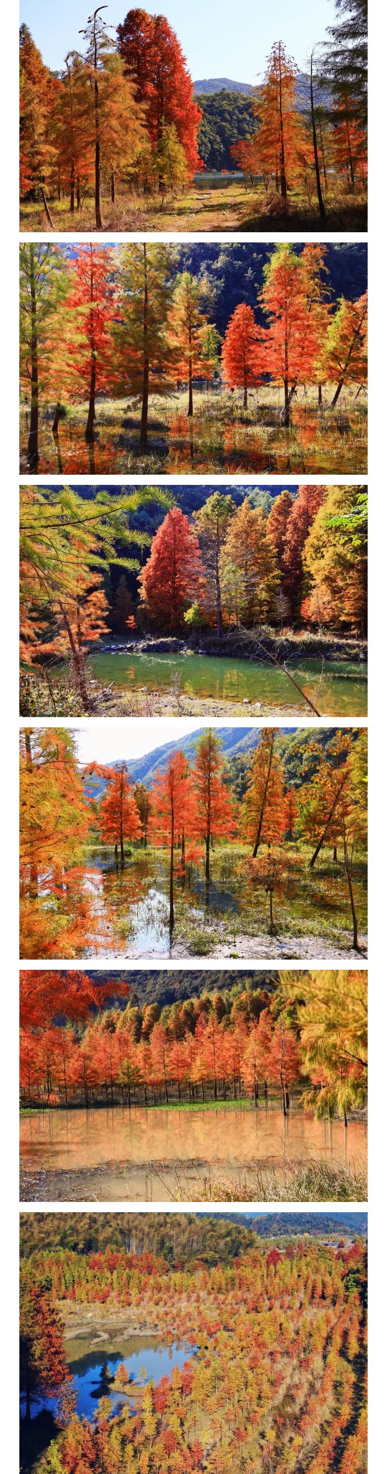 认真工作,快乐生活——狮城怡安工会组织开展一线员工旅游活动 认真工作,快乐生活——狮城怡安工会组织开展一线员工旅游活动